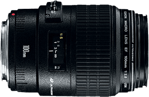 Canon 100mm F2.8 Macro