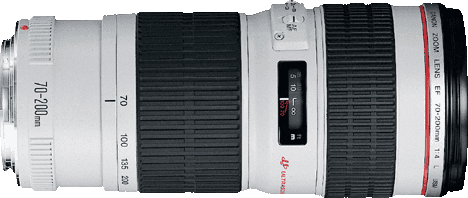 Canon 70-200mm F4 L