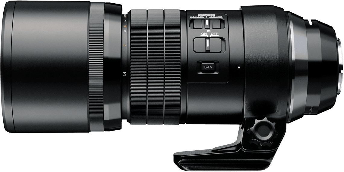 Olympus 300mm F4 Pro